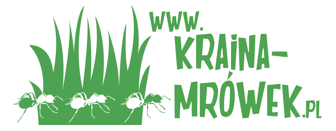 Kraina Mrówek – mrówki do hodowli, największy wybór w Polsce